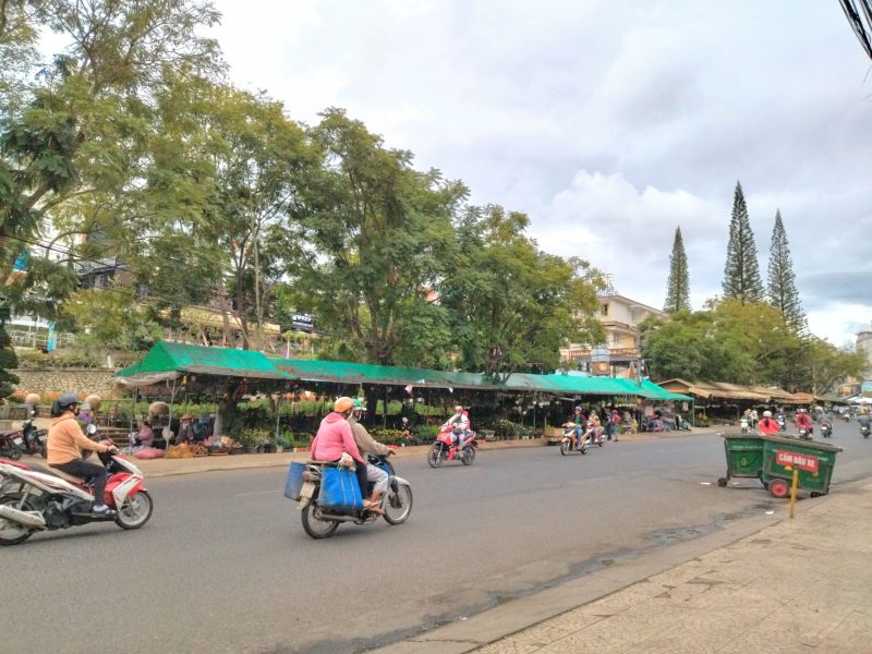 【ベトナムの避暑地ダラット】見どころと3つのエリアを紹介【定番からディープエリアまで】